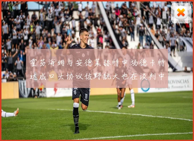 霍芬海姆与安德莱赫特中场德卡特达成口头协议佐野航大也在谈判中